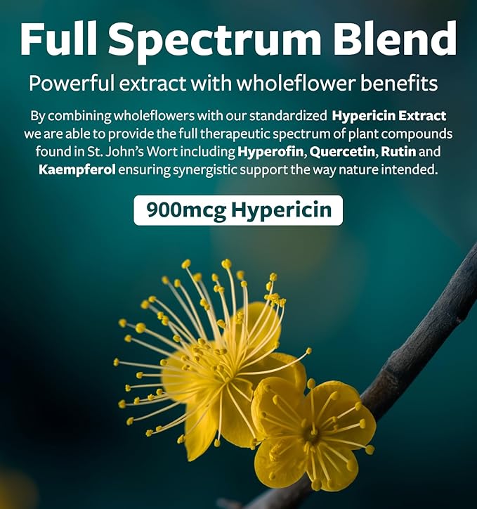 St John's Wort Capsules - Powerful & Potent Saint John's Wort Extract & Whole Herb Complex Standardized to 900mcg Hypericin for Balancing Daily Mood Support - Vegan Non-GMO & Lab Verified (180 Caps)