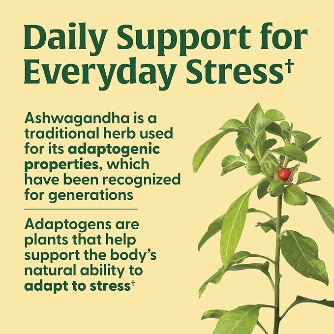 MegaFood Adrenal Strength - Adrenal Support Supplements with Ashwagandha, Vitamin C, Magnesium Glycinate, Holy Basil, Astragalus - Reduces Cortisol Levels - Vegetarian - 90 Tablets (45 Servings)