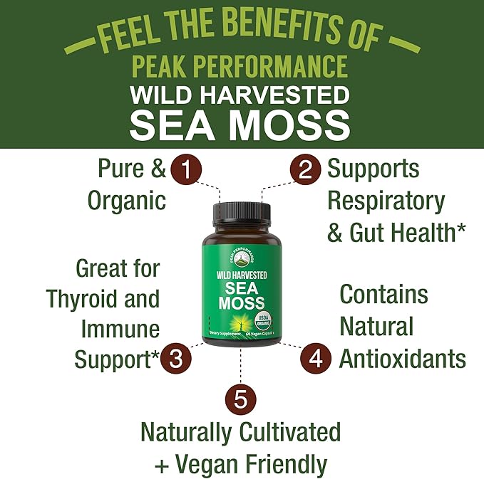 Organic Sea Moss Capsules. Wild Harvested Sea Moss Raw Organic Vegan Supplement from Red Algae Seaweed. 100% Whole Extract Raw Irish SeaMoss Superfood Pills. for Gut, Respiratory, Immune Support.
