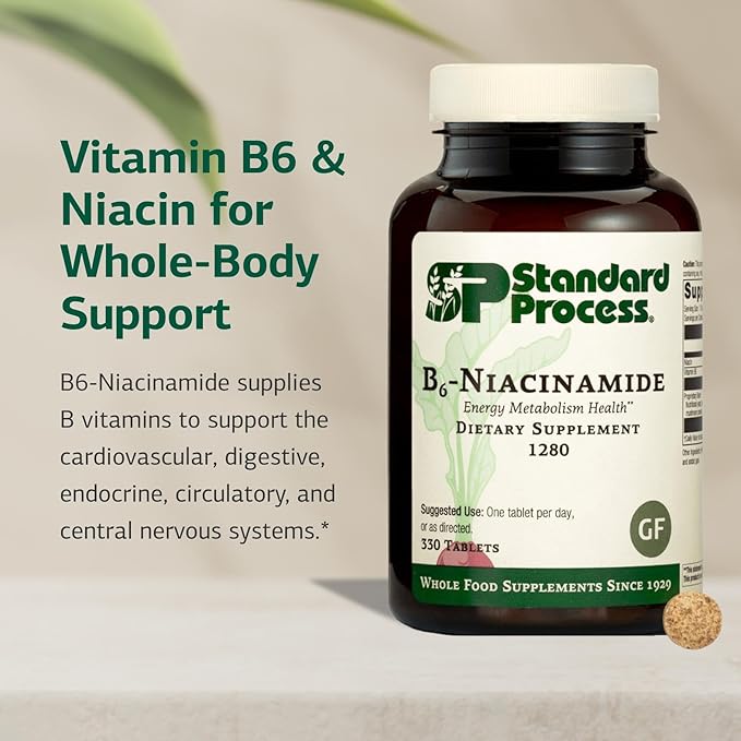 Standard Process Inc. B6-Niacinamide - Energy Metabolism, Heart Health, and Digestion Supplement with Vitamin B6, Niacin, Ascorbic Acid, Reishi Mushroom, Shiitake Mushroom - 330 Tablets