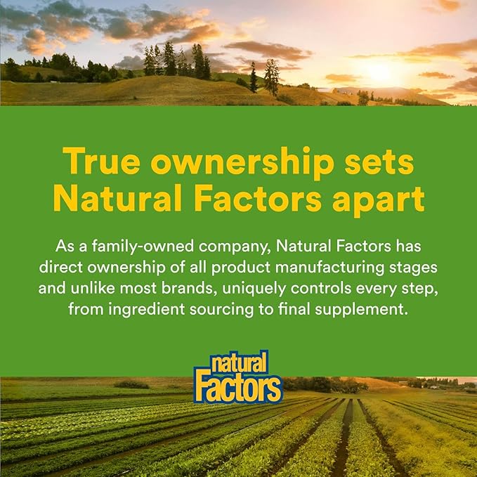 Natural Factors Chewable Ginger 500Mg, 90 CT