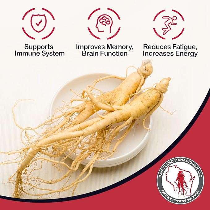 Dairyland American Ginseng Roots 西洋参 - 4 oz Pack of Wisconsin Ginseng Root - Authentic American Ginseng - Non-GMO, Gluten Free Whole Ginseng - Use This Herbal Supplement in Soup, Tea, Congee