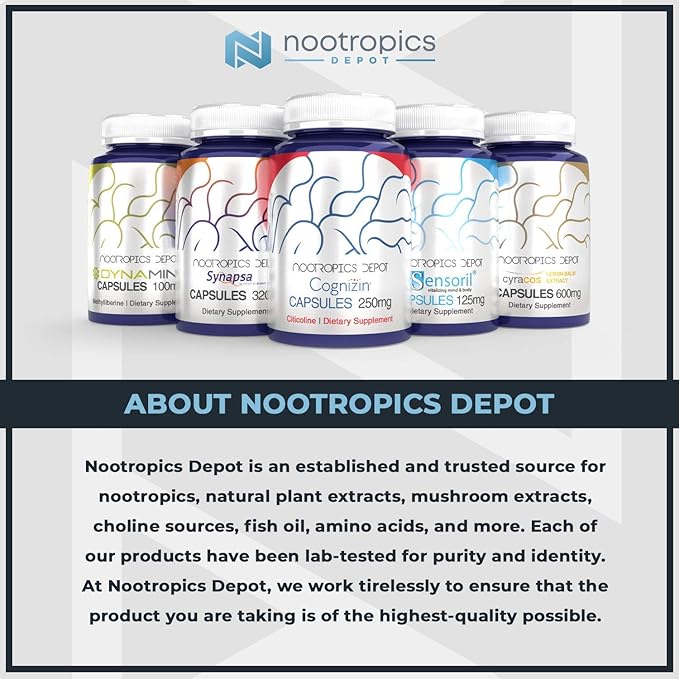 Nootropics Depot Quercetin Tablets | 500mg | 60 Count | 95% Anhydrous Quercetin