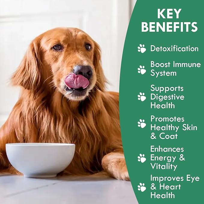 Canine Chlorella Tablets with Human Grade Fermented Chlorella for Dogs | Natural Dog Breath Freshener & Immune Booster Supplement | Dog Greens with Chlorophyll | 100 Vegan Tablets