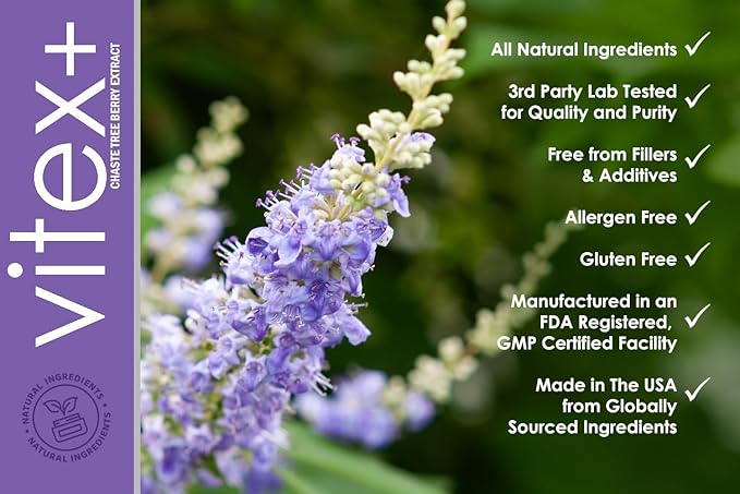 VH Nutrition VITEX+ | Vitex Chasteberry Supplement for Women | Hormonal Balance* and Fertility Support* | 650mg Per Serving of Vitex Berry Extract Powder | 60 Capsules