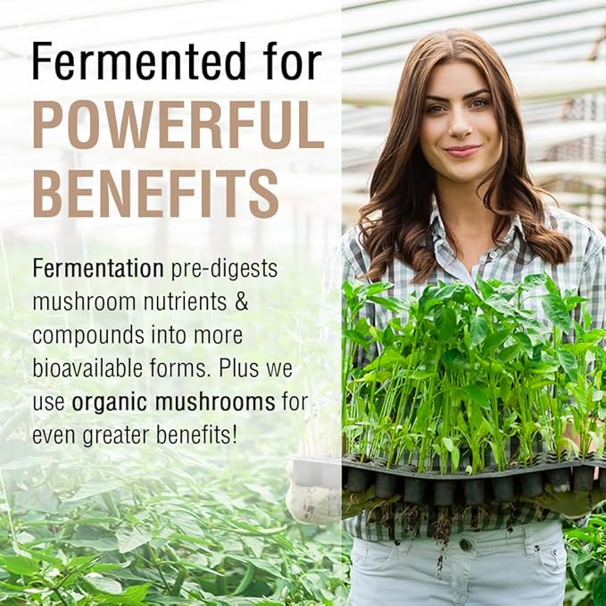 SOLARAY Fermented Chaga Mushroom 1000 mg | Healthy Immune Function Support | 30 Servings | 60 VegCaps
