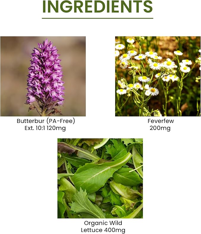 Butterbur, Feverfew, Analgesic, Painkiller, & Headache Suppressor, 90 VCaps, High Absorbable, Non-GMO, Gluten-Free (Pack of 4)