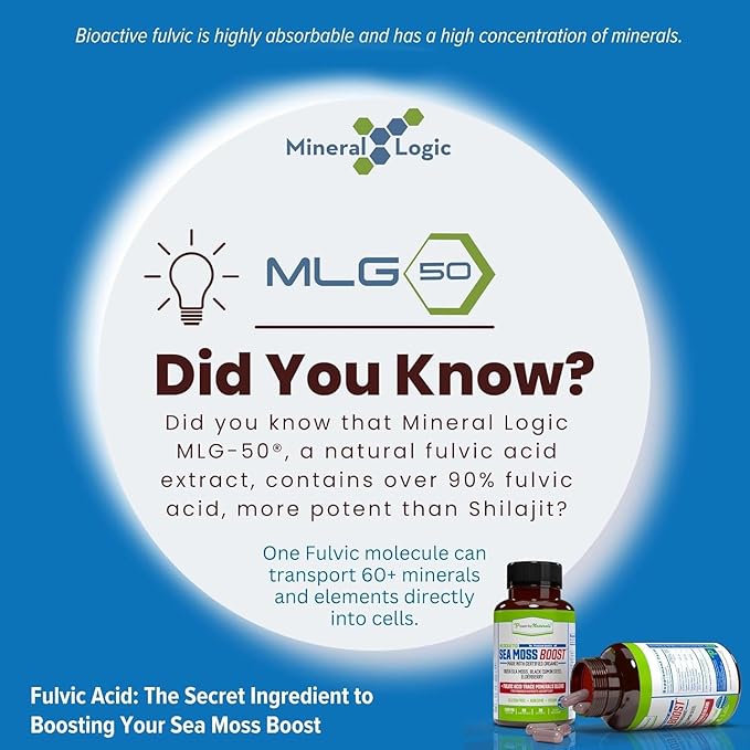 Power By Naturals Sea Moss Advanced with Black Seed Oil & Elderberry Capsules - Certified Organic Irish Sea Moss Capsules for Energy, Gut & Immune Support - Sea Moss Pills with (60+ Minerals) 60 Pills
