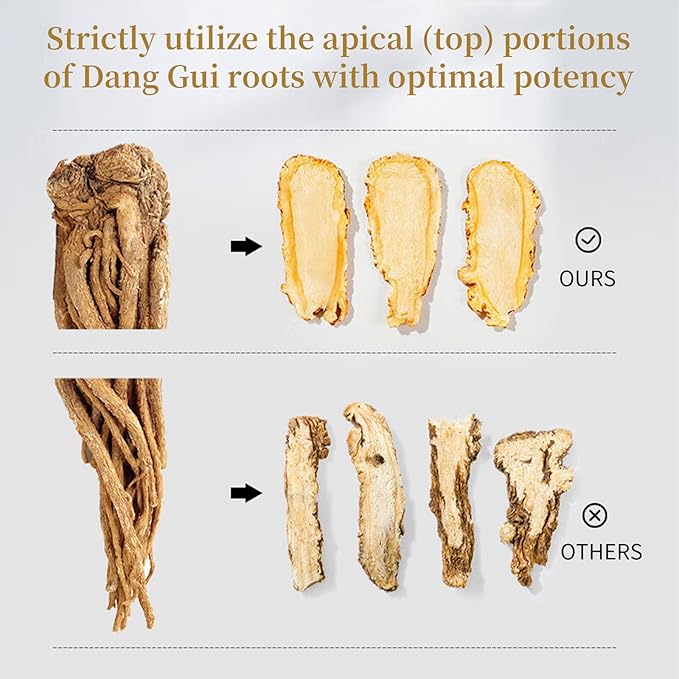Wanhua Hall Dang Gui Tea Dong Quai Angelica Sinensis Slice Natural Herbal Tea Chinese Dried Herbs No Additives Sulfur Free 当归 當歸7.05oz/200g