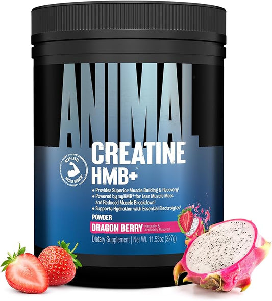 Animal Creatine HMB Powder – 5g Creatine + 3g myHMB with Electrolytes for Lean Muscle, Recovery & Daily Energy – Dragon Berry Flavor, 30 Servings