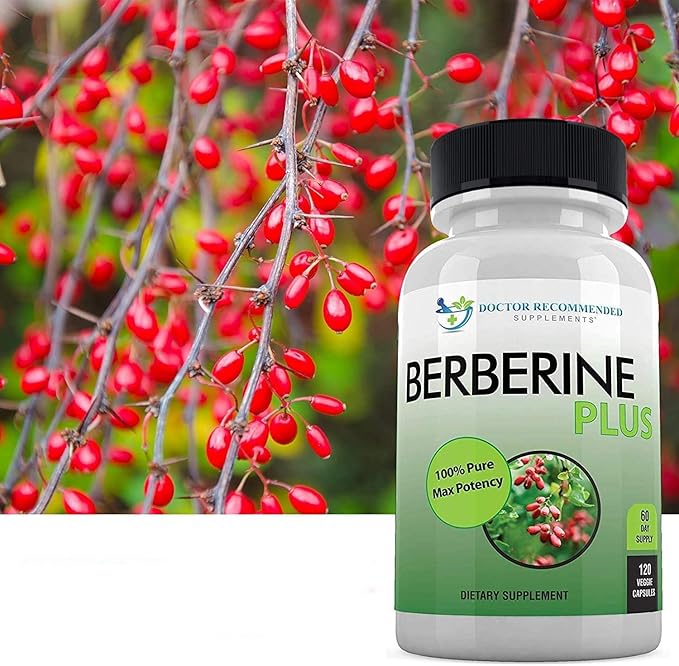 DOCTOR RECOMMENDED SUPPLEMENTS Berberine Plus 1200mg Per Serving - 120 Veggie Capsules Royal Jelly (120 Count (Pack of 2))