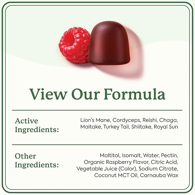 Plant People WonderDay Mushroom Gummies - Lion’s Mane, Cordyceps, Chaga Mushroom Supplement to Support Immune System De-Stress Boost Mood & Energy in Adults Natural, Vegan, Non-GMO (60 Count)