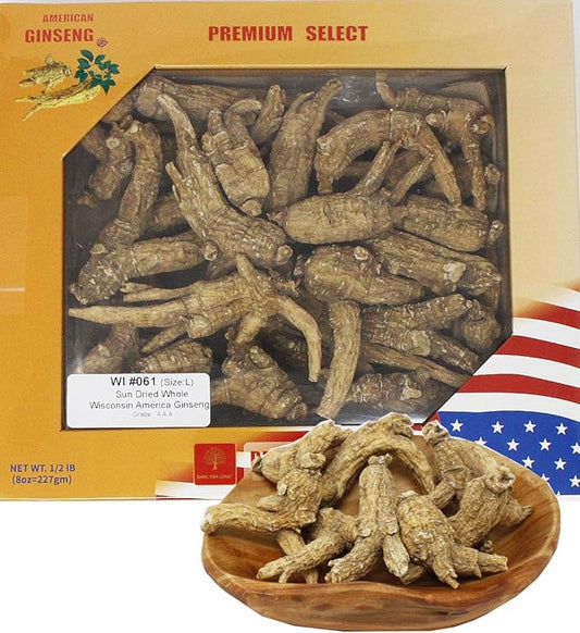 DOL Hand-Selected American Wisconsin Farmed Ginseng Root Medium&Large 美国威斯康辛州 长枝西洋参 花旗参 | Cultivated Wisconsin American Ginseng (Large 8oz/Box)