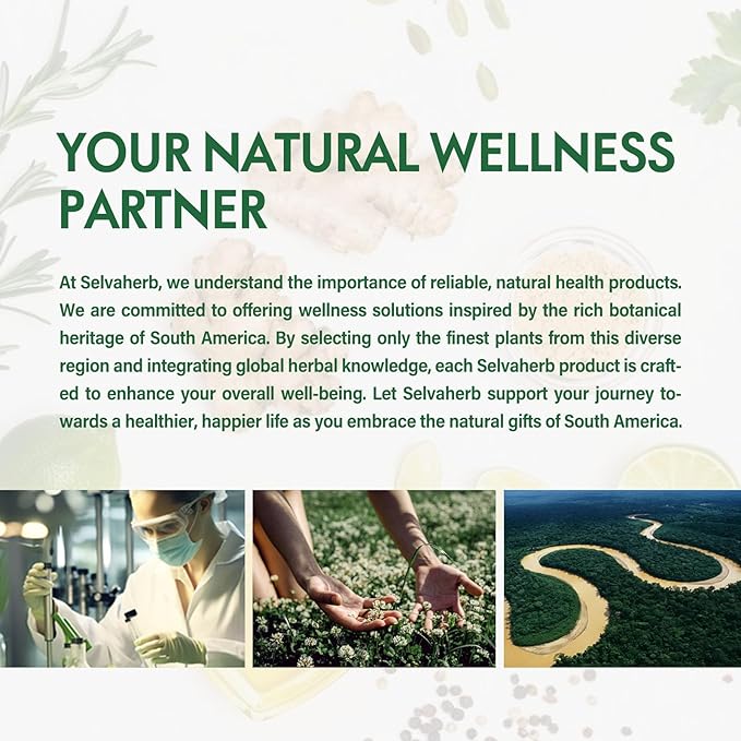 Goldenseal & Echinacea Drops for Immunity Boost, Healthy Respiratory Function, Herbal Supplements with Elderberry Licorice Root Thyme Chamomile Extract. 2oz