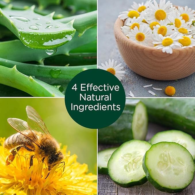 STANLEY HOME PRODUCTS Miracle Moisturizer Aloe, Chamomile, Bee Pollen, Cucumber, Vitamin A Palmitate Reduce Signs Of Aging/For Skin With Wrinkles And Fine Dry Lines Naturally Fragranced (Pack of 6)