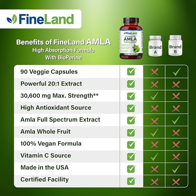 FineLand Amla (Indian Gooseberry) 20X Full Spectrum Extract – 30,600mg Equivalent per Serving with BioPerine® for Absorption, Rich in Natural Vitamin C, Immune & Digestive Support – 90 Vegan Capsules