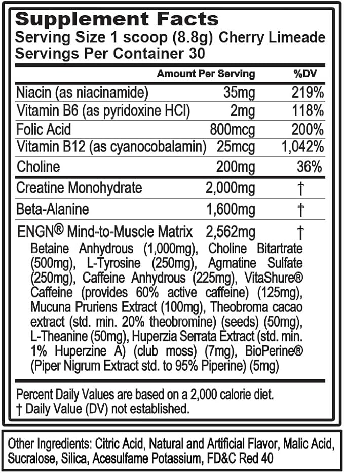 EVL Intense Pre Workout with Creatine - ENGN Energizing Pre Workout for Men Powder Drink for Lasting Energy Focus and Recovery - with Beta Alanine Caffeine and L Theanine - Cherry Limeade
