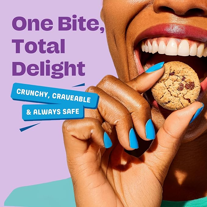 Partake Gluten Free Crunchy Chocolate Chip Cookies - Vegan - Free From the Top 9 Allergens Including Dairy, Wheat, Soy, Eggs, & Peanuts - Safe School & Office Snack (48 Packs, 1.09 oz)