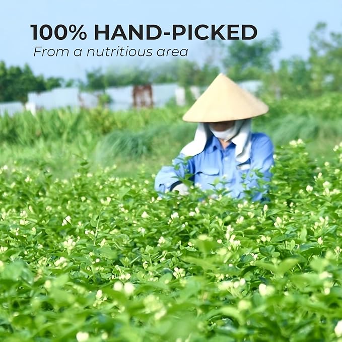 VUONGMART Dried Jasmine Buds Tea, 100% Hand Pick, Stevia, Honeyydew, Heat Pump Drying, Organic Herbal Tea, 30 Tea Bags, Gluten Free, Dairy Free, Sugar Free & Natural, Energy Boost & Health Support
