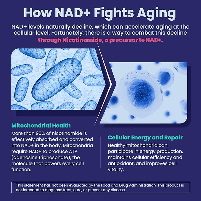 Nicotinamide 500mg Gummies, NAD+ Supplement for Women & Men w/Collagen Peptides, (Flush Free Niacin) Vitamin B3 Niacinamide for Anti-Aging, NAD+ Levels, Longevity, Focus & Brain, Sugar Free, 60Cts