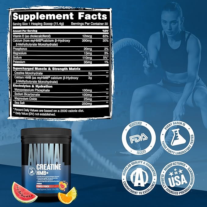 Animal Creatine HMB Powder – 5g Creatine + 3g myHMB with Electrolytes for Lean Muscle, Recovery & Daily Energy – Power Punch Flavor, 30 Servings