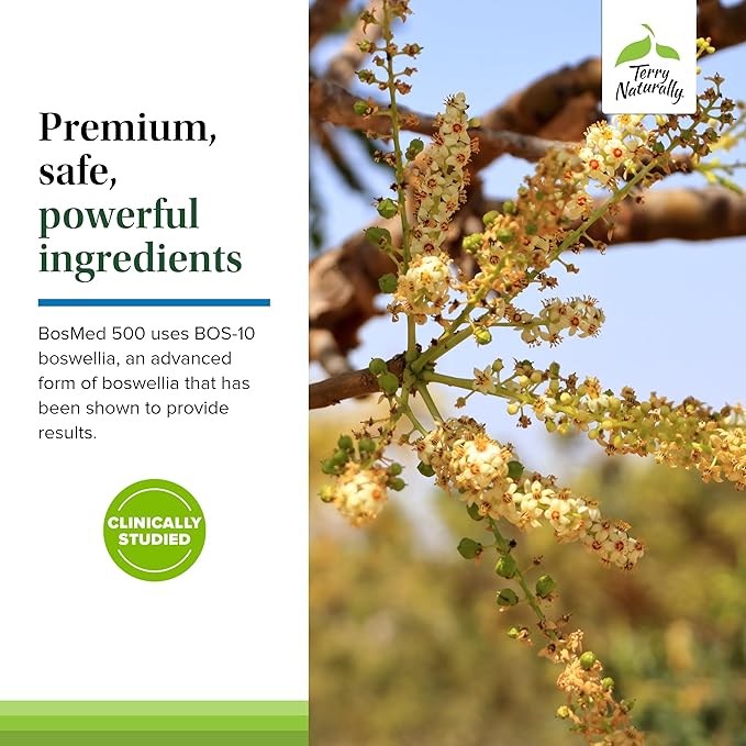 Terry Naturally BosMed 500 Extra Strength - Boswellia Serrata Extract - Supplement for Healthy Lung Support - Herbal Supplement Formula with High Levels of AKBA - 120 Softgels (Pack of 2)