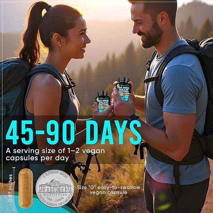 Adndale Sea Moss Capsules with Lion's Mane, Rhodiola Rosea, Shilajit for Women and Men Energy, Focus, Immune Support - 90 Count