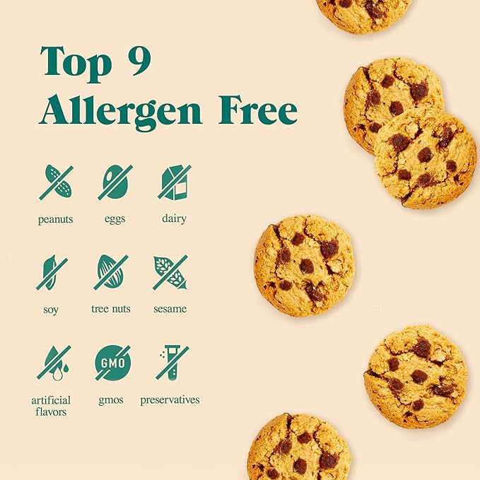 Partake Gluten Free Soft Baked Chocolate Chip Cookies - Vegan - Free From the Top 9 Allergens Including Dairy, Wheat, Soy, Eggs, & Peanuts - Non GMO - Safe School & Office Snack (48 Packs, 1.09 oz)