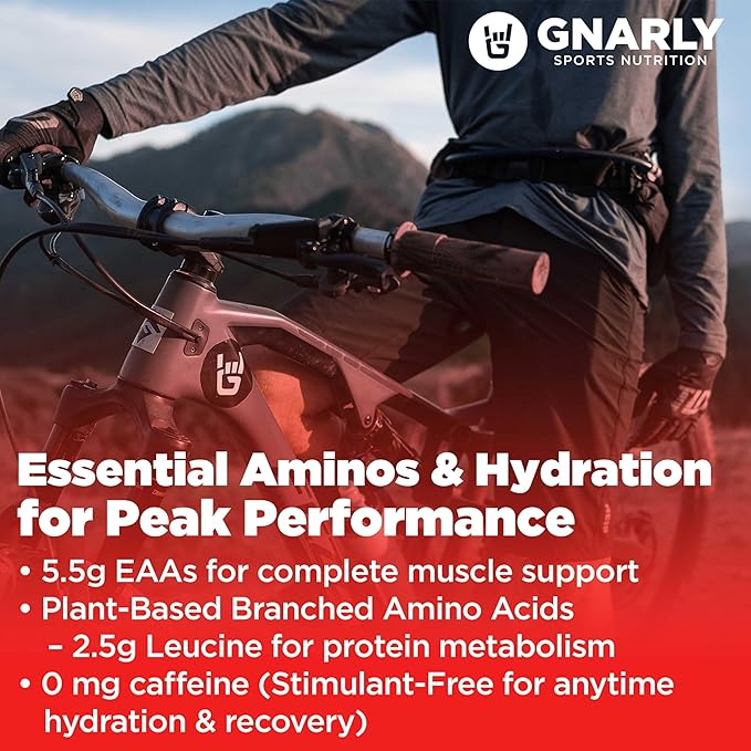 Gnarly Nutrition Essential Aminos Powder, Berry Lemonade – Pre-Workout Amino Acids – NSF Contents Certified – Supplement to Support and Rebuild Muscle – Berry Lemonade Caffeine Free, 10.58 oz