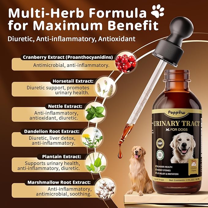 Dog UTI Treatment & Urinary Tract Support – Natural Herbal Drops with High Cranberry Extract, Vitamin B6 for Urine pH Balance, Bladder & Kidney Function, Split Dropper, Chicken Flavor, 2Oz