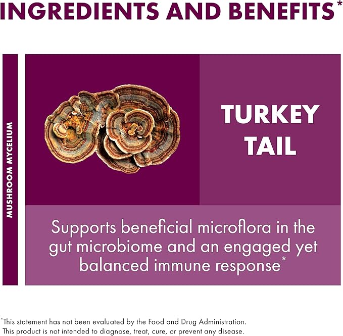 Host Defense Turkey Tail Extract - Digestive Health & Immune Response Support Supplement - Mushroom Supplement for Gastrointestinal & Gut Microbiome Support - 2 fl oz (60 Servings)*