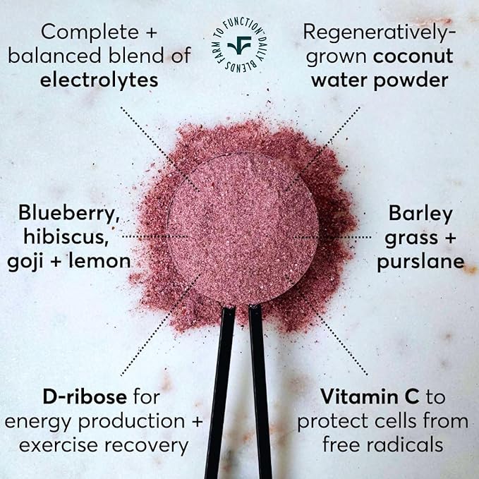 Low Sodium Electrolyte Drink Mix - Natural Electrolytes, Organic Fruits and Greens - No Added Sugar Electrolyte Drink Mix for Rapid Hydration, Energy, and Recovery - Blueberry Hibiscus Flavor