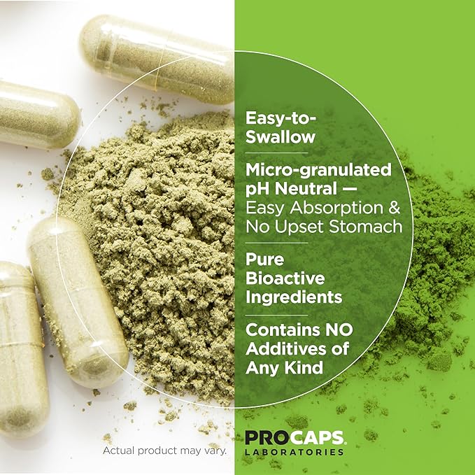 ANDREW LESSMAN PC Liver and Brain Benefits + Liver Anti-Oxidant Extracts Kit: 270 Capsules (240+30) - Phosphatidyl Choline, Milk Thistle, Artichoke, Curcumin.