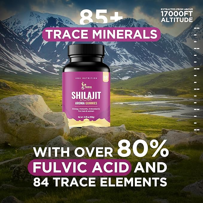 Shilajit Gummies for Men & Women with Aronia Berries (60 Count (Pack of 1), Aronia Berries)