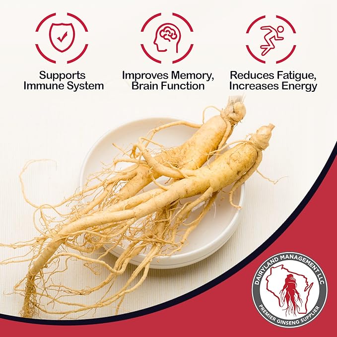 Dairyland American Ginseng Capsules, 75 ct (2000 mg) – Concentrated Wisconsin Ginseng Root Extract – Daily Herbal Supplement for Immune Support