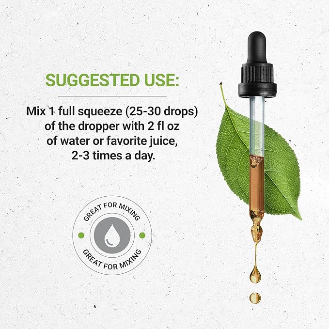Secrets of the Tribe Andrographis Tincture Alcohol-Free Extract, Andrographis Fah talai jone, Chuan Xin Lian, Andrographis Paniculata Immune System Health 4 OZ