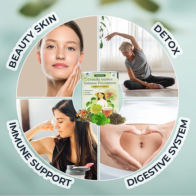 NMPT Dried Centella Asiatica Solanum Procumbens Tea, Handpicked and Handmade, 40 Sachets, Cold-Dried, Gluten-Free, No Added Sugar, Mild Sweet Flavor, Supports Overall Health
