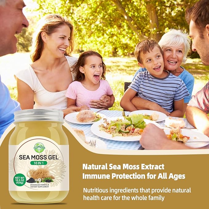 Sea Moss Gel 16 in 1 - Irish Sea MossGel 18.5OZ with Wildcrafted SeamossGel, Black Seed Oil, Burdock Root, Ashwagandha, Bladderwrack - Rich in Vitamins & Minerals - Non-GMO & Natural