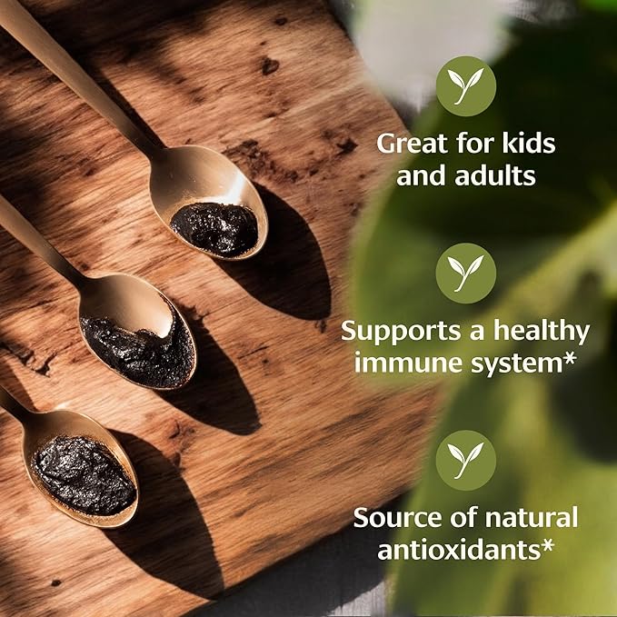 Banyan Botanicals Chyavanprash – Organic Ayurvedic Herbal Jam with Raw Honey, Amla & Ashwagandha – Vitalizing Superfood Immune Support Supplement* – 9.4 oz – Non GMO Sustainably Sourced Gluten Free