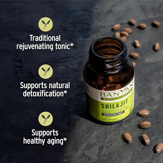 Banyan Botanicals Shilajit – Organic and Sustainable Mineral Pitch – Mineral-Rich Shilajit Supplement for Natural Detoxification and Healthy Aging* – 90 Tablets – Non GMO Sustainably Sourced Vegan