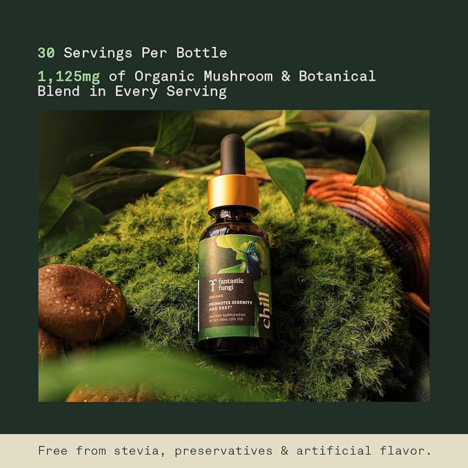 Reishi Mushroom Extract Drops Fantastic Fungi Chill Elixir, 4-in-1 Mood Support Supplement w/ Holy Basil & Shiitake Mushrooms for Relaxation & Calm | 100% Organic & Natural | 30 Servings, 1 fl oz