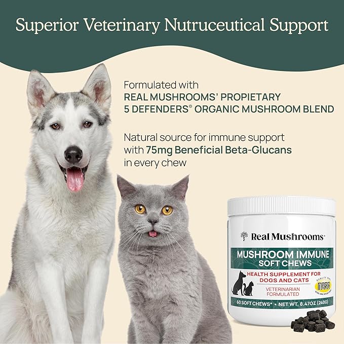 Real Mushrooms Soft Chews for Pets – Functional Treats with Reishi, Olive Leaf, Ashwagandha Blend – Cats & Dogs Vitamin Bites– Mushroom Supplement for Dogs & Cats Wellness Support, 60 Count