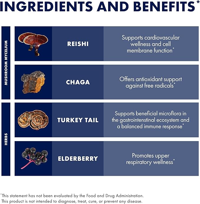Host Defense Elderberry Plus Syrup - Immune, Respiratory & Lung Support Supplement* - Liquid Mushroom Supplement with Turkey Tail, Reishi, Agarikon & Chaga* - 4 fl oz (12 Servings)