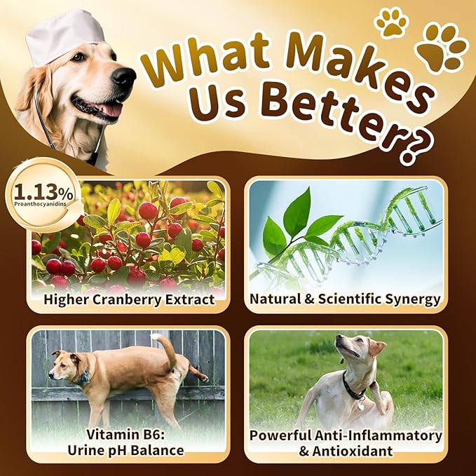 Dog UTI Treatment & Urinary Tract Support – Natural Herbal Drops with High Cranberry Extract, Vitamin B6 for Urine pH Balance, Bladder & Kidney Function, Split Dropper, Bacon Flavor, 2Oz