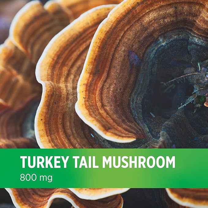 DOCTORS' PREFERRED Turkey Tail Mushroom Supplement - 800 MG/Serving, 90 Vegan Capsules