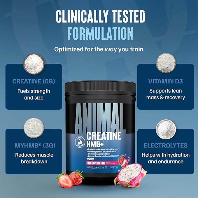 Animal Creatine HMB Powder – 5g Creatine + 3g myHMB with Electrolytes for Lean Muscle, Recovery & Daily Energy – Dragon Berry Flavor, 30 Servings
