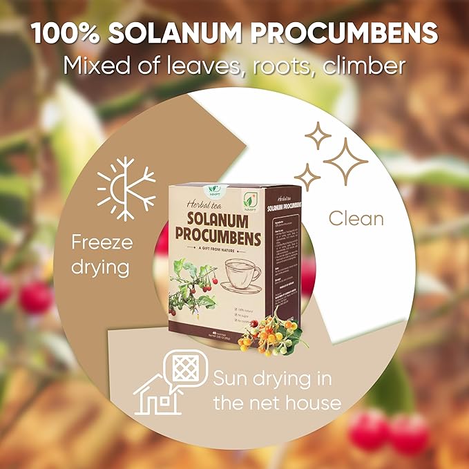NMPT 100% Solanum Procumbens Leaf Tea, Hand Pick, Cà Gai Leo Organic Herbal Tea, 40 Count, Freeze Drying, Gluten Free, Dairy Free, No Sugar Added, Energy Boost & Health Support, 0.07 Oz Each
