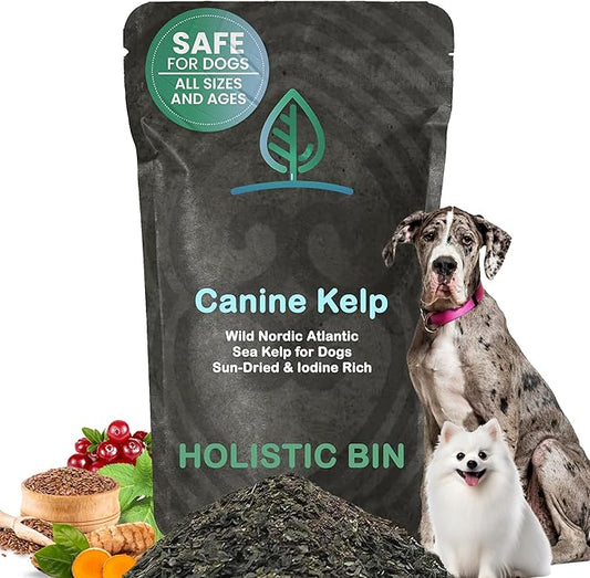 Canine Atlantic Sea Kelp for Dogs | All Natural Dog Food Topper for Digestive Health, Skin and Coat Health, and Immune Support | Rich in Vitamins, Minerals, and Calcium for Dogs (50g)