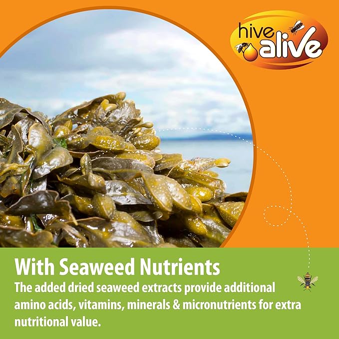 Pollen Patty for Honey Bees – 2lb (2 x 1lb) Pollen Patties and Bee Food for Spring with 4% Real USA Pollen, Hive Alive, Seaweed and Amino Acids to Support Brood and Colony Health