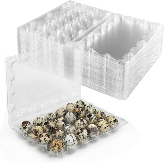 50 Pack Small Plastic Egg Cartons - Clear 2 Dozen Quail Eggs Tray - Reusable Storage Holder for Small, Pheasant, Pigeon Eggs